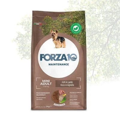 MANGIME SECCO CANI FORZA 10 MINI MANTENIMENTO AGNELLO/RISO KG 2