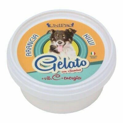 mangime umido per cani GELATO ARANCIA/KIWI GR 60