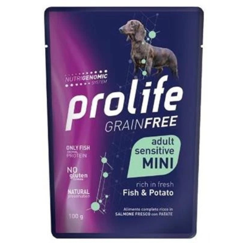 mangime umido per cani