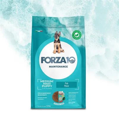 MANGIME SECCO  CANI FORZA 10 PUPPY PESCE MEDIUM/LARGE KG 12 NEW