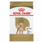 MANGIME SECCO  CANI POODLE ROYAL CANIN GR 500