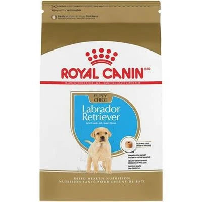 MANGIME SECCO  CANI LABRADOR PUPPY ROYAL CANIN KG 12